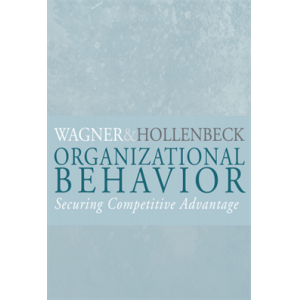 Organizational Behavior Securing Competitive Advan